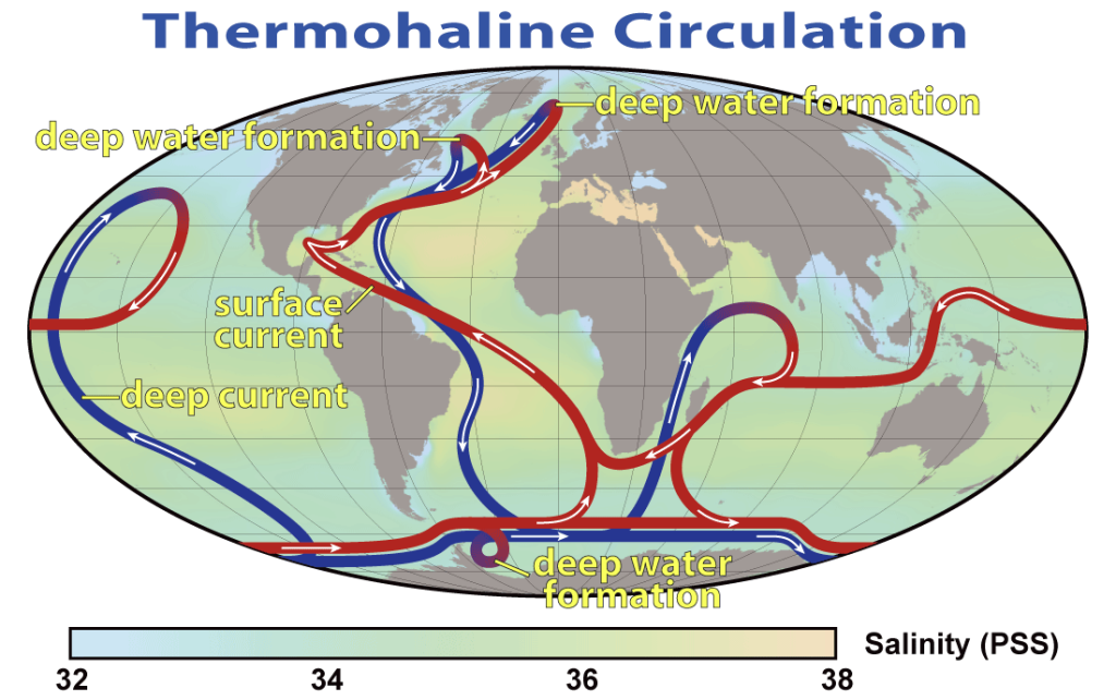 Atlantic Meridional Overturning Circulation graphic