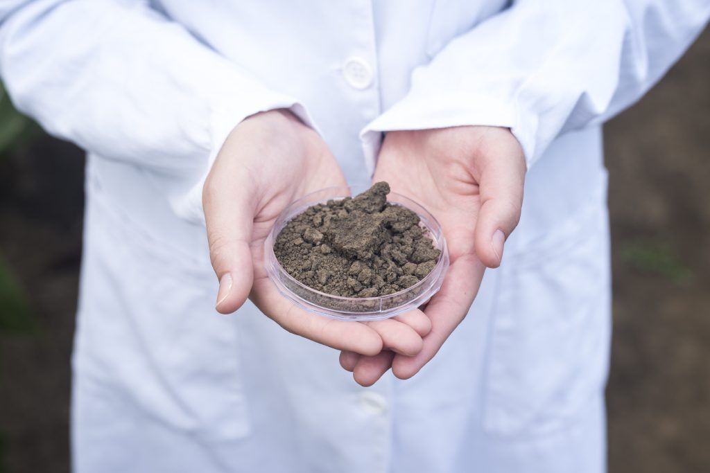 Soils That Turn Salty Or Sterile