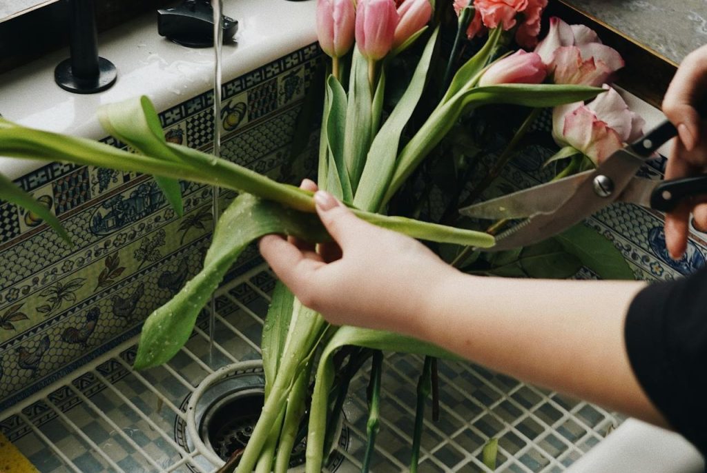 Cutting Leaves Back Before They Recharge