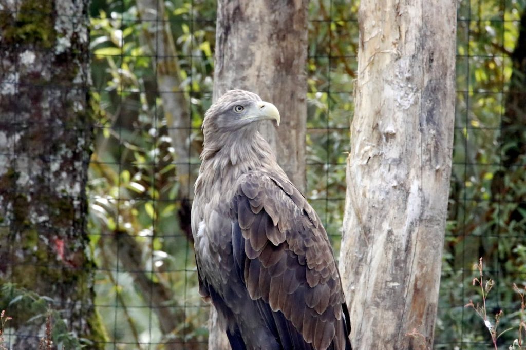 Setbacks Show Why Protection Still Matters