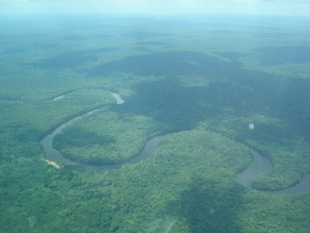 Cuvette Centrale Peatlands, Congo Basin