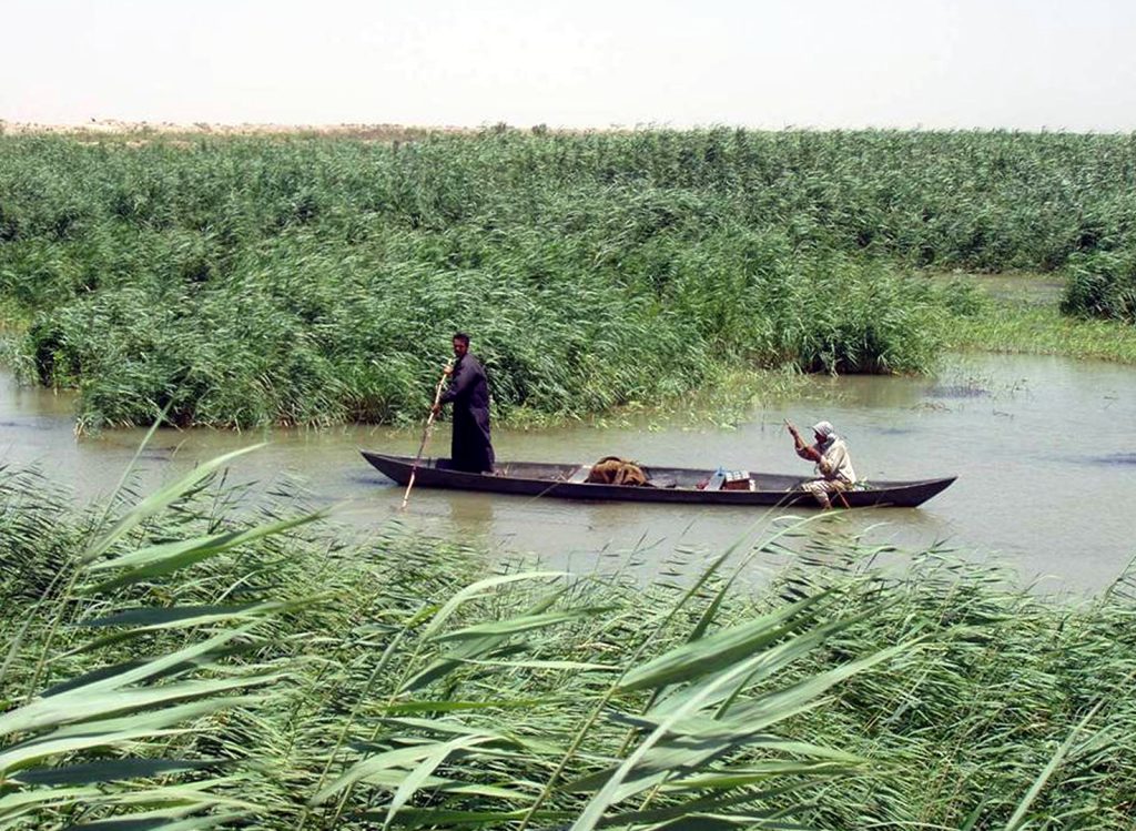 The Ahwar, Mesopotamian Marshes, Iraq
