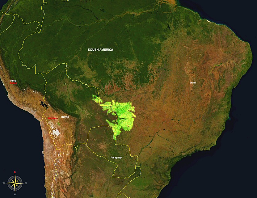 Pantanal, Brazil, Bolivia, And Paraguay