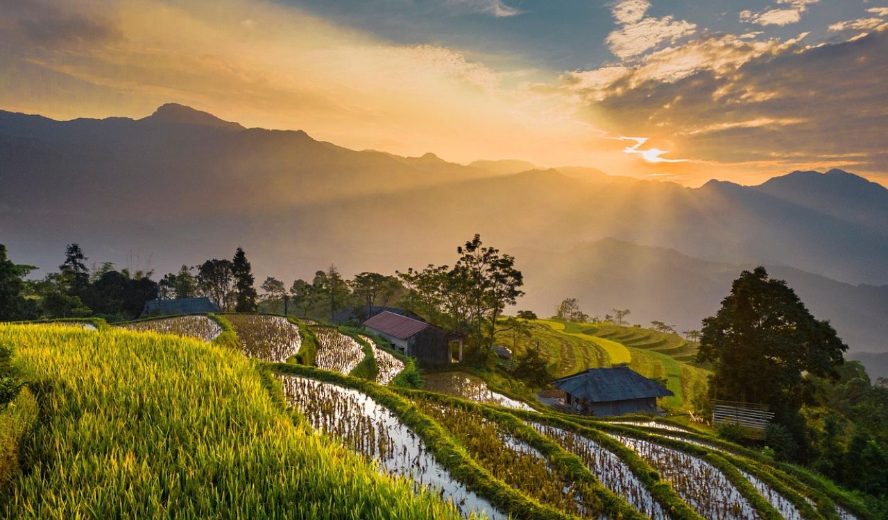 The majestic terraced fields in Vietnam